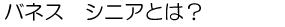 バネス シニアとは?