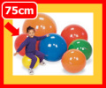 ����˥å��ܡ���[����˥��ܡ���]����75cm���֡�